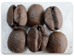 　ブルボンスイート<br>　（100g）