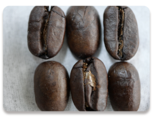 　マンデリンG1<br>　（100g）