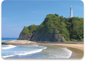 　海岸通りぶれんど<br>　（100g）