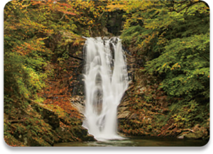 　あぶくまの里ぶれんど<br>　（100g）